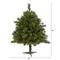 3ft. Pre-Lit Wyoming Mixed Pine Artificial Christmas Tree, Clear LED Lights
